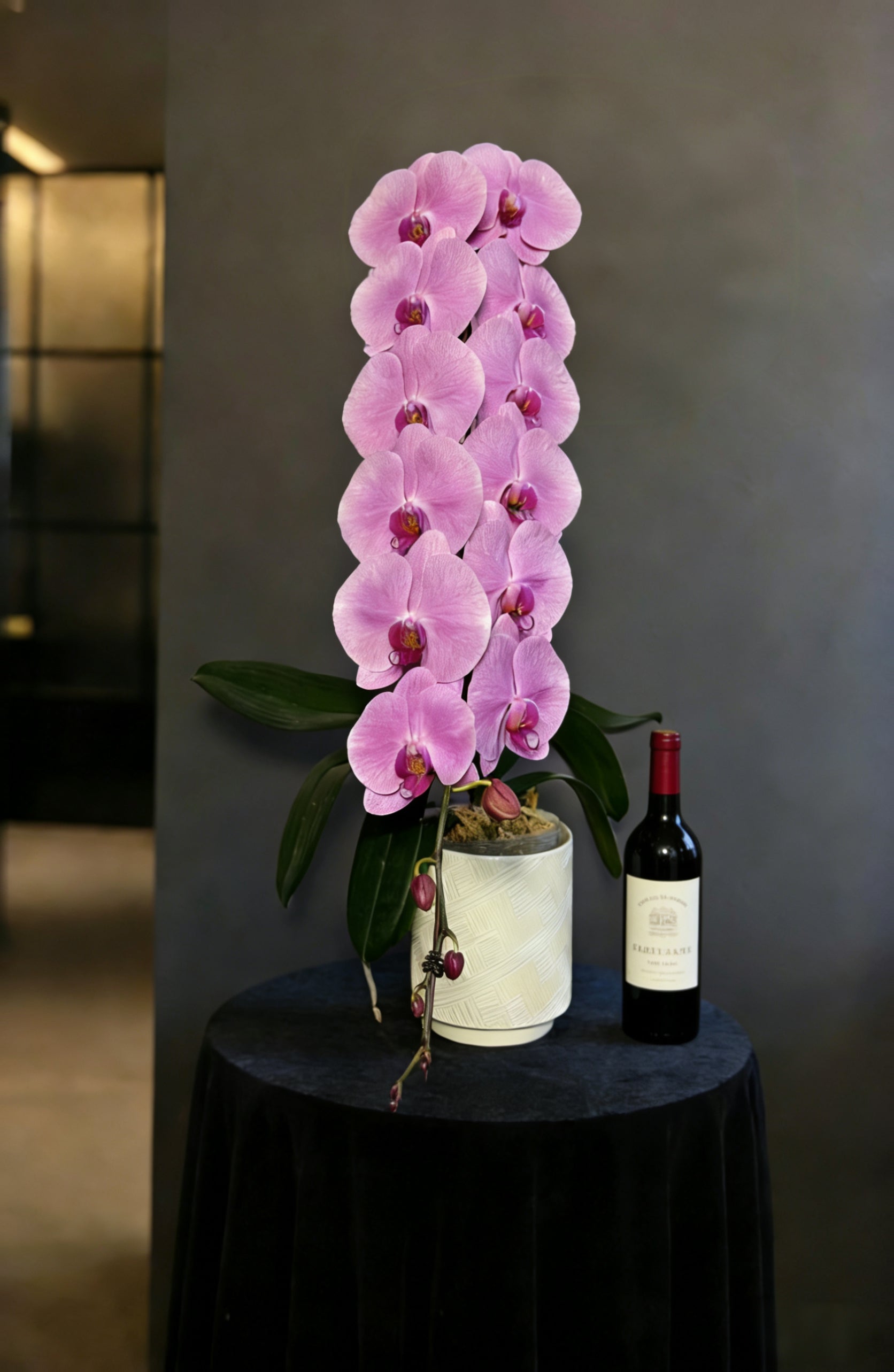 蝴蝶蘭花-粉冠軍【龍蘭】